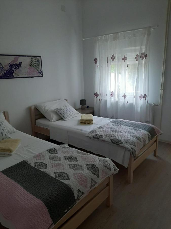 Maslina Biograd Na Moru
