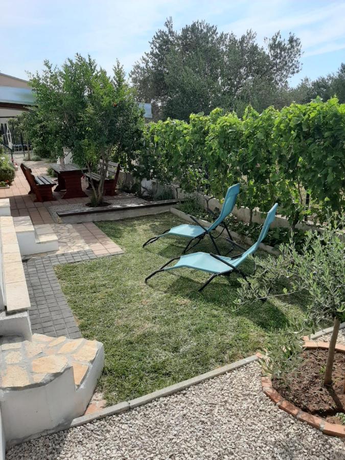 Maslina Apartment Biograd Na Moru