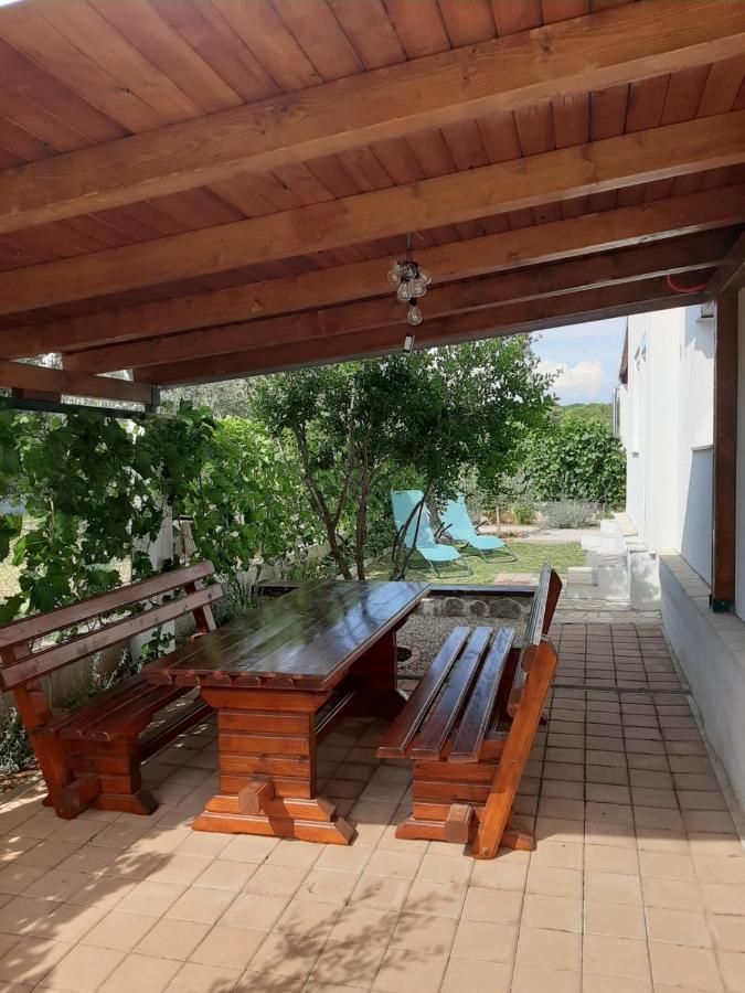 Maslina * Biograd Na Moru