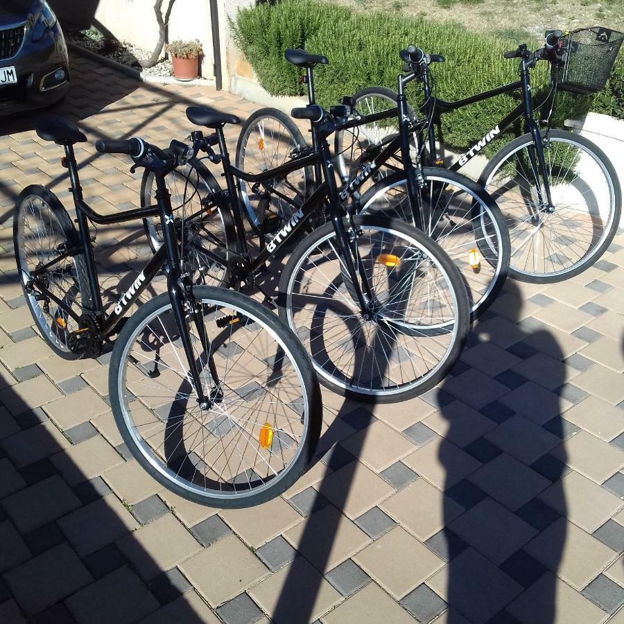 Maslina * Biograd Na Moru